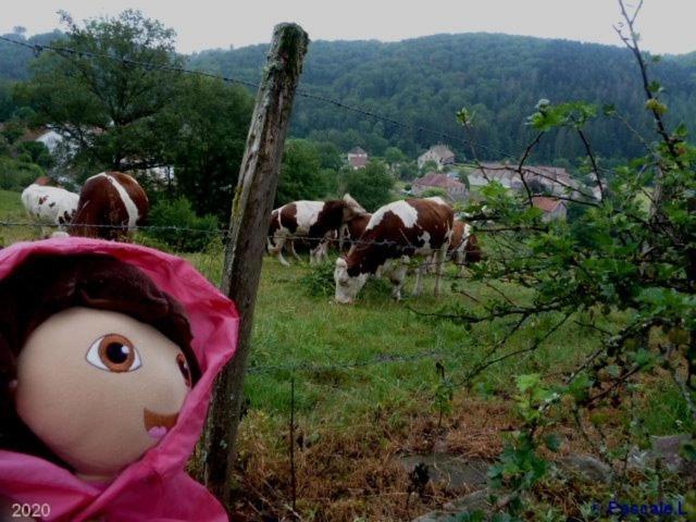 Gite Rural Les Maires D'Avaux Saint-Bresson Esterno foto