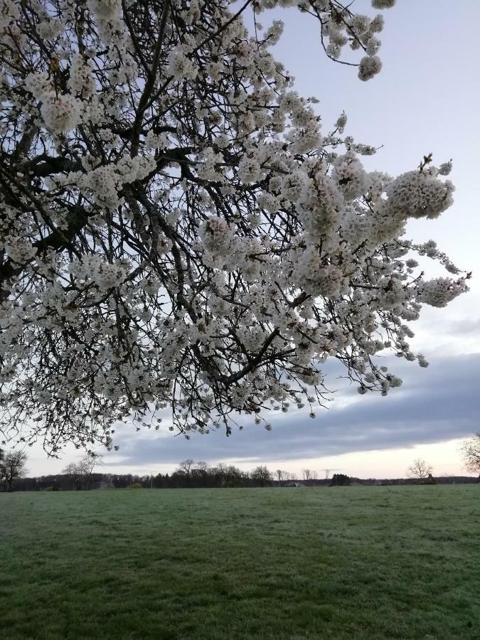 Gite Rural Les Maires D'Avaux Saint-Bresson Esterno foto